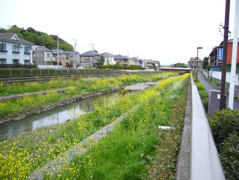 ../../../../_images/2006_04_22_nogawa.jpg