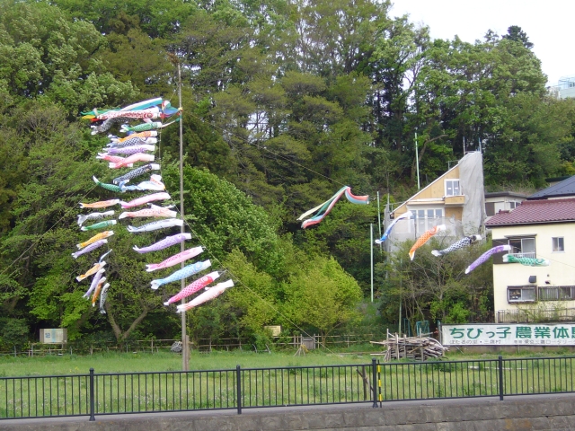 ../../../../_images/20070422_koinobori.jpg