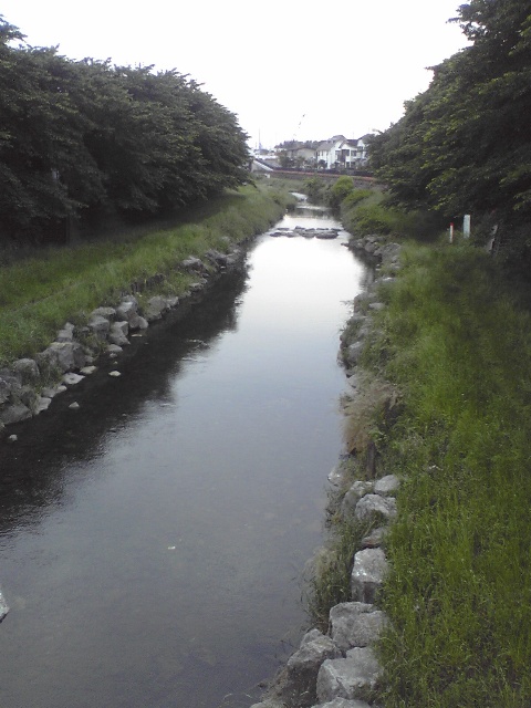 ../../../../_images/20080601_nogawa1.jpg