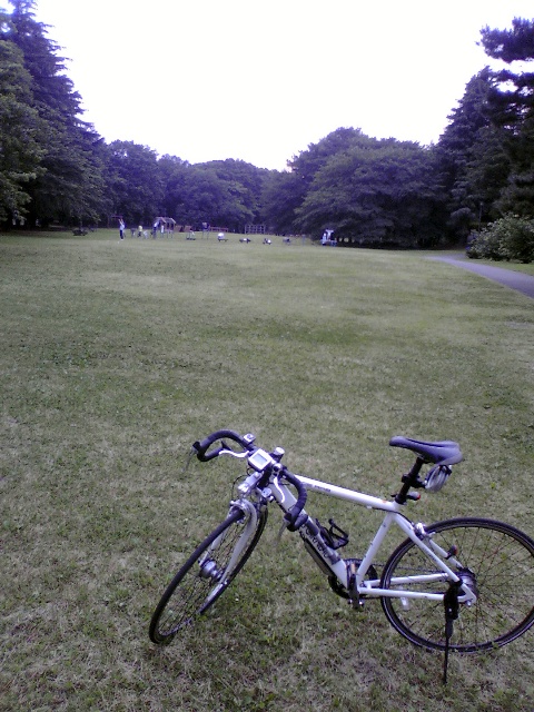 ../../../../_images/20080601_nogawa3.jpg