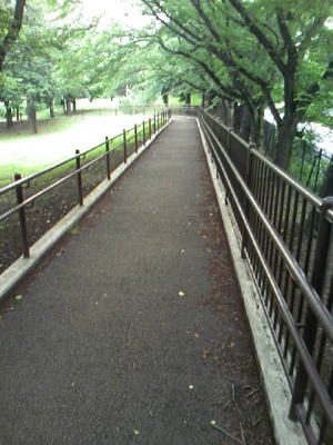 ../../../../_images/20080713_nogawa_kouen_curve.jpg